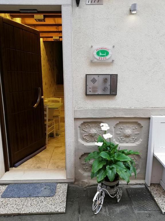 B & B San Domenico Chioggia Exterior foto